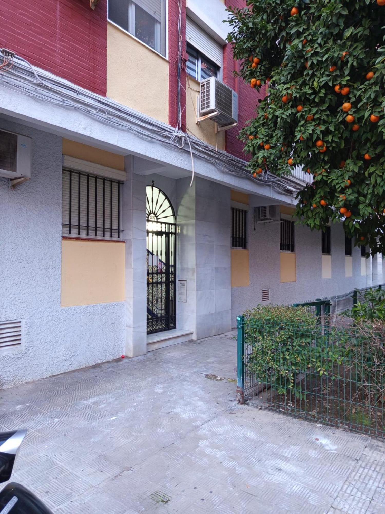 Apartamento Triana Maestro Guerrero — Photos 3